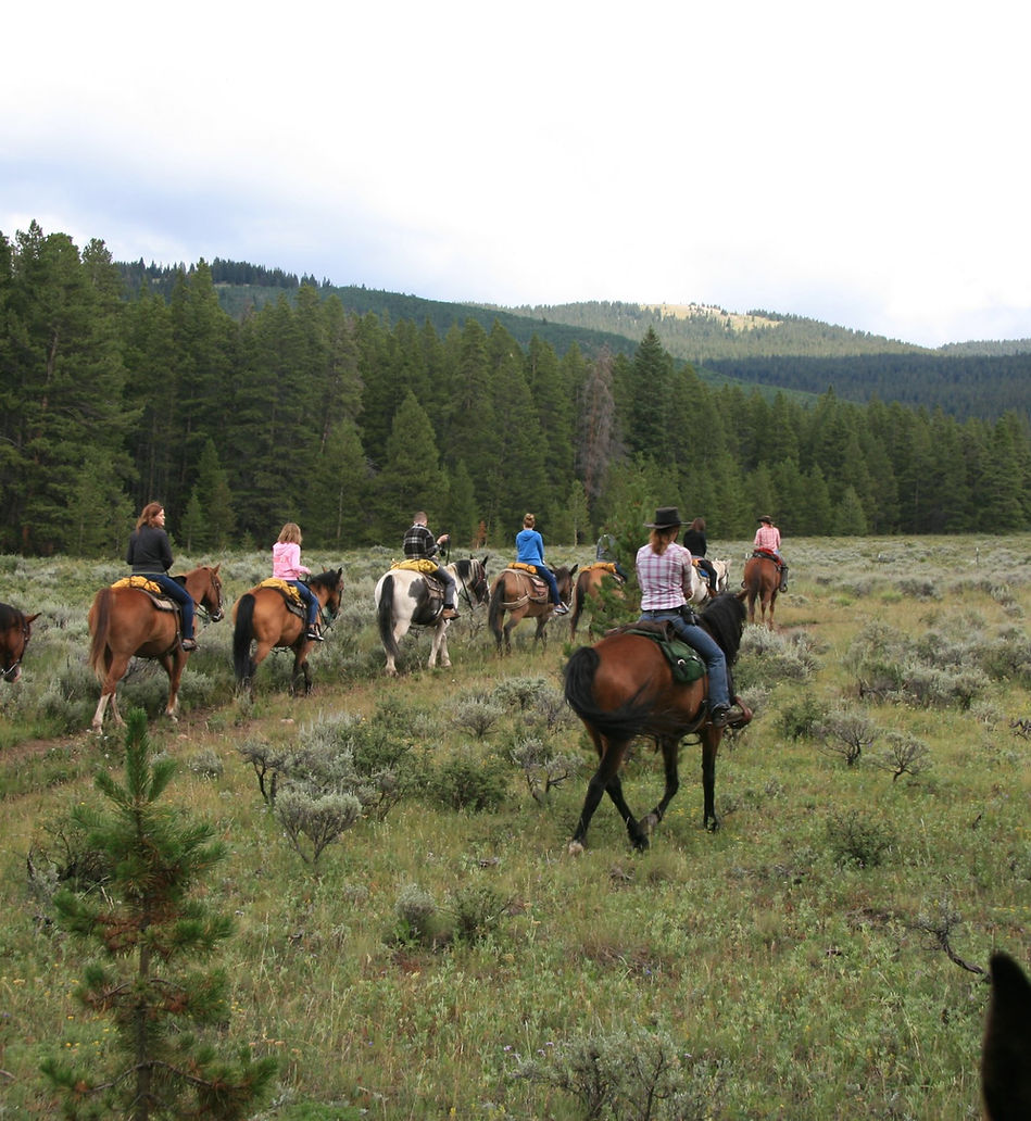 Horseback Riding near Leadville, Colorado